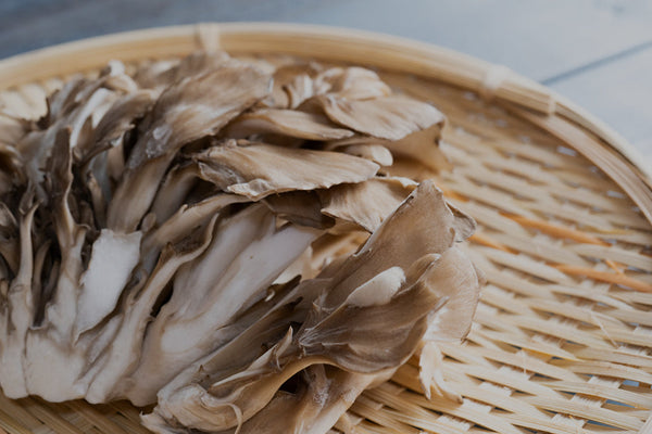 The Top 3 Benefits of Functional Mushrooms for Daily Wellness