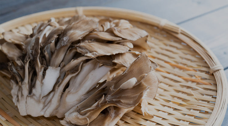 The Top 3 Benefits of Functional Mushrooms for Daily Wellness