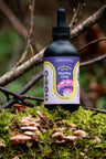 Bottle of Elderberry Healthy Chili on a natural background with moss and branches