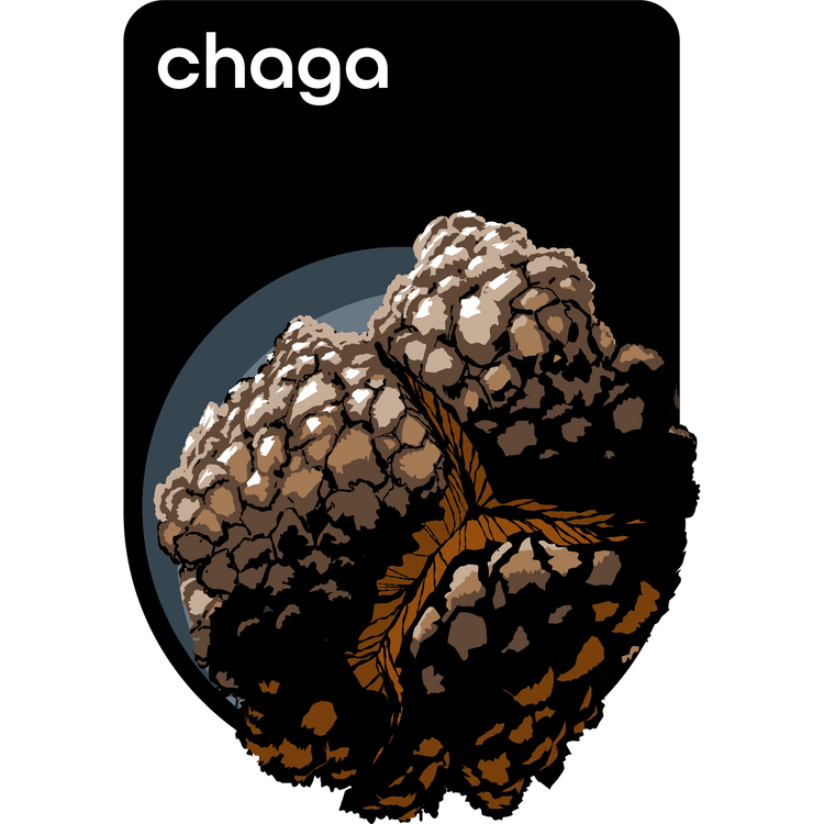 Chaga Extract