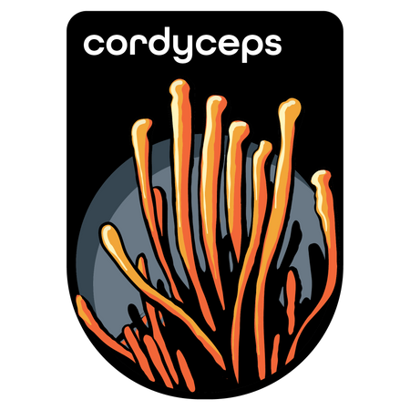 Cordyceps Extract