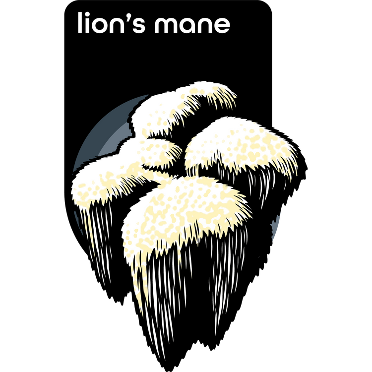Lion’s Mane Extract