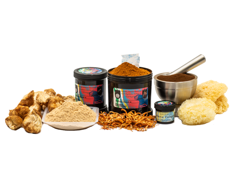 Jars with colorful labels filled with powdered mushroom products, a metal mortar and pestle, and various types of dried mushrooms, such as lion's mane, snow fungus, and Cordyceps.